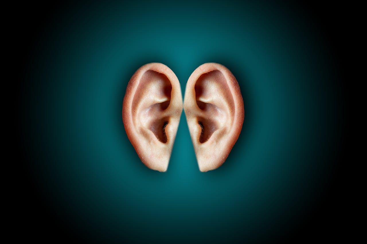 what can tinnitus sound like